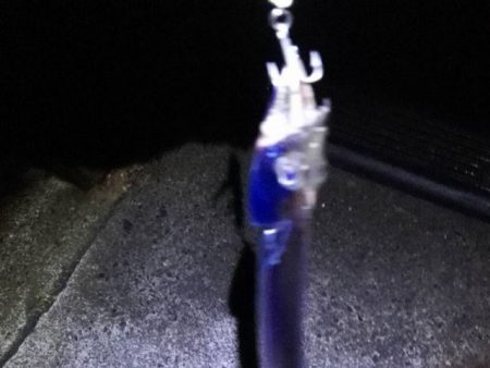 ジグで太刀魚狙い